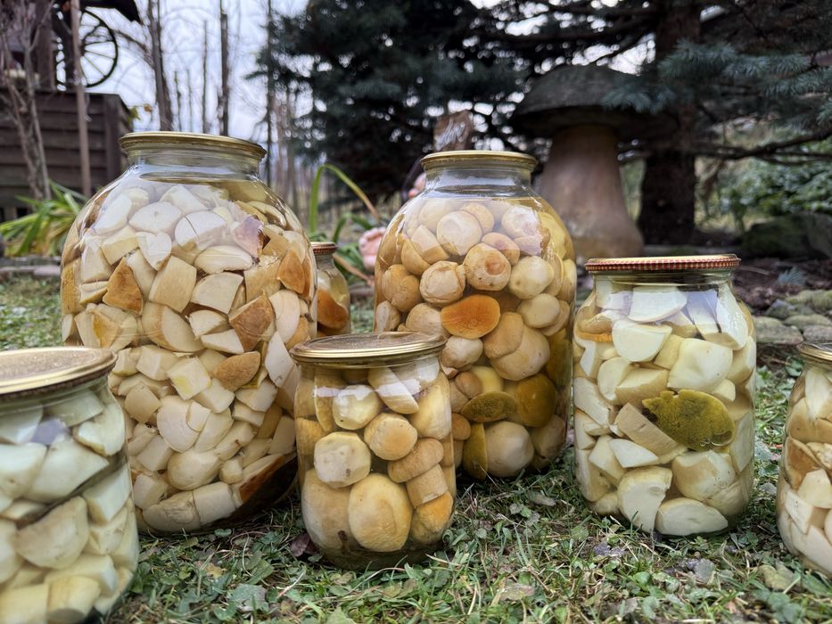 Мариновані білі гриби