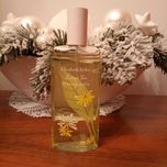Perfumy Elizabeth Arden Green Tea Honeysuckle komplet 2 szt