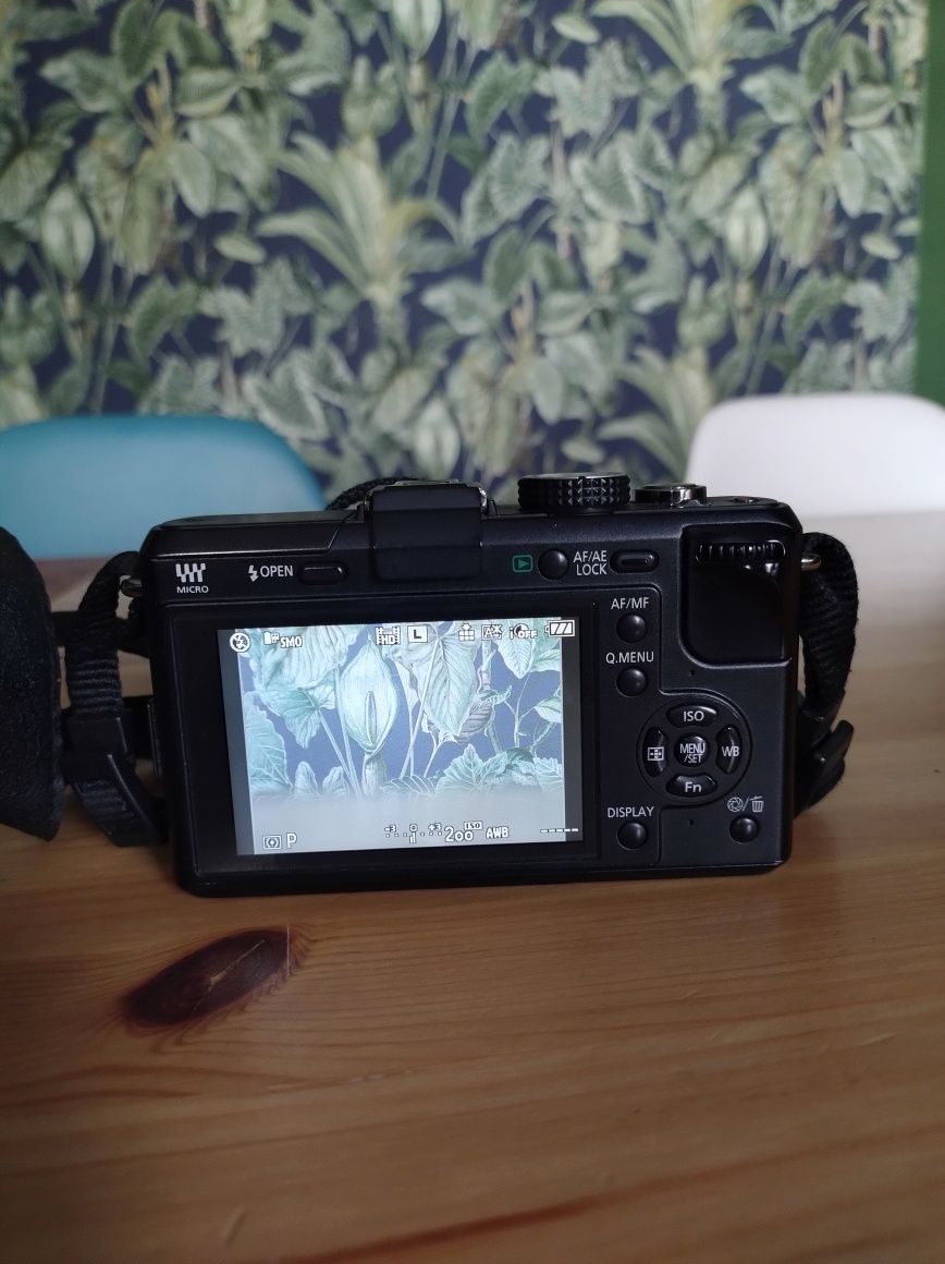 Panasonic Lumix GF1