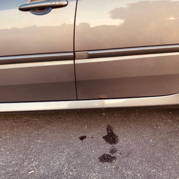 Sprzedam Renault Laguna