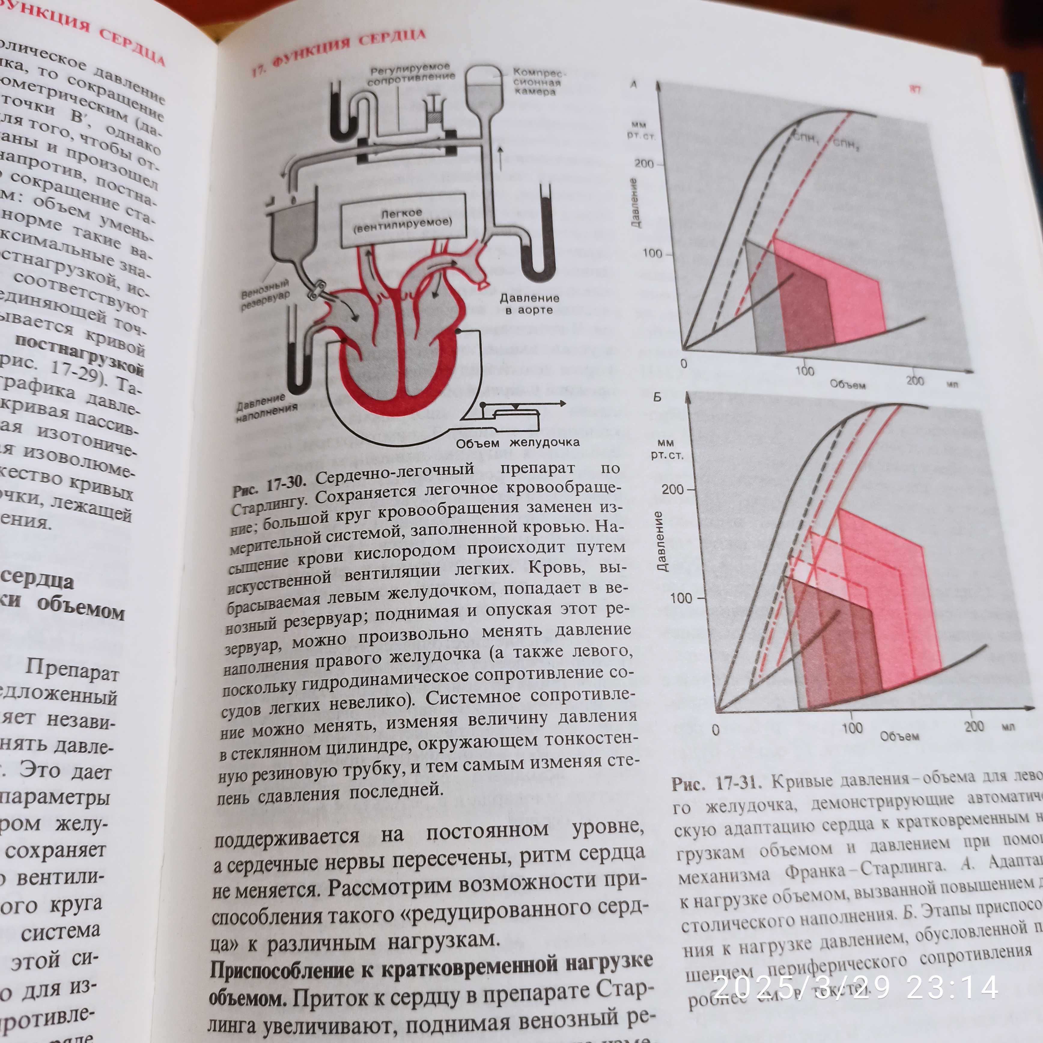 Книга Физиология человека т. 3 Кровь. Кровообращение. Дыхание.
