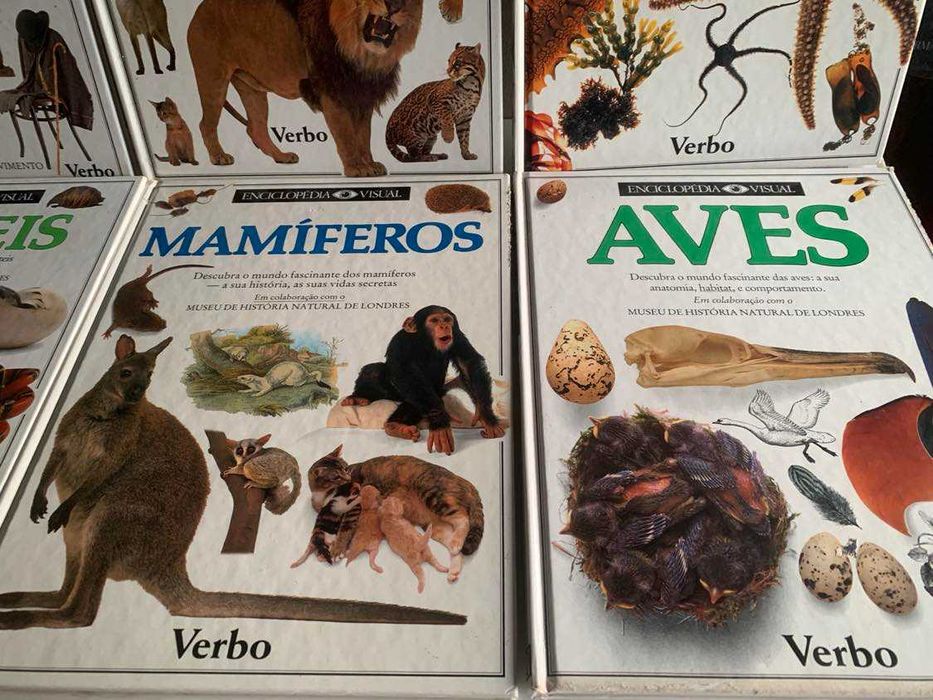 Livros em capa dura Astérix + Verbo!