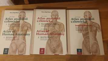 Atlas anatomii człowieka Köpf-Maier