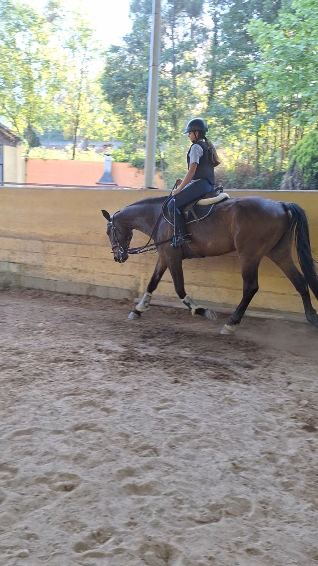 Cavalo obstáculos