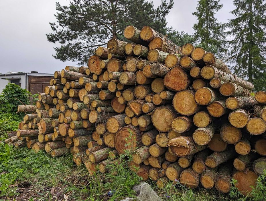 Słupki drewniane, kołki, stemple- ogrodzenie płot DOSTĘPNE