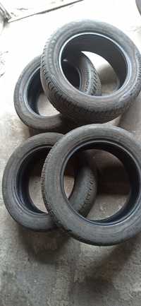 Opony letnie Uniroyal 205/55R16