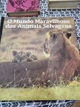 Vários livros em bom estado