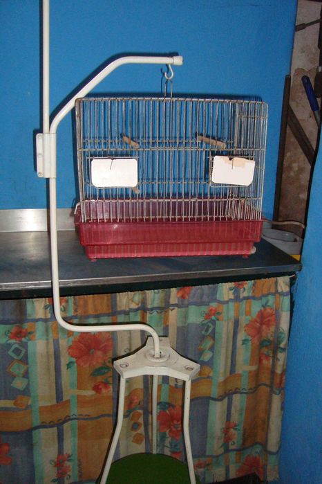 Suporte  de  gaiolas