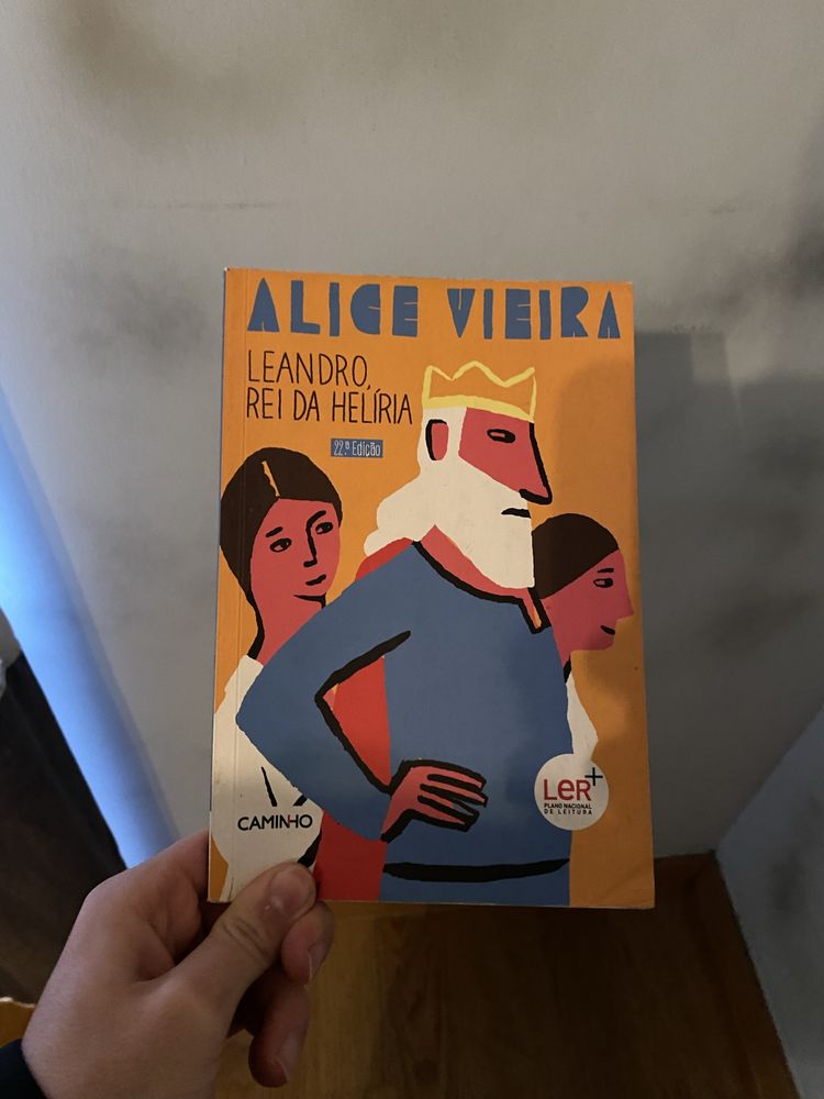 Livros de leitura juvenil Otimo estado Desde 5 euros