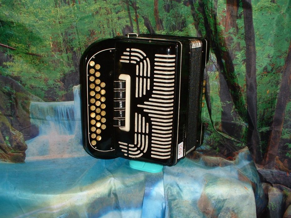 Concertina Para Venda n.592