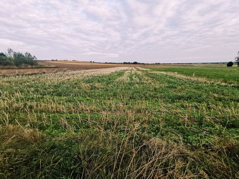 Sprzedam działkę rolną II - III klasa