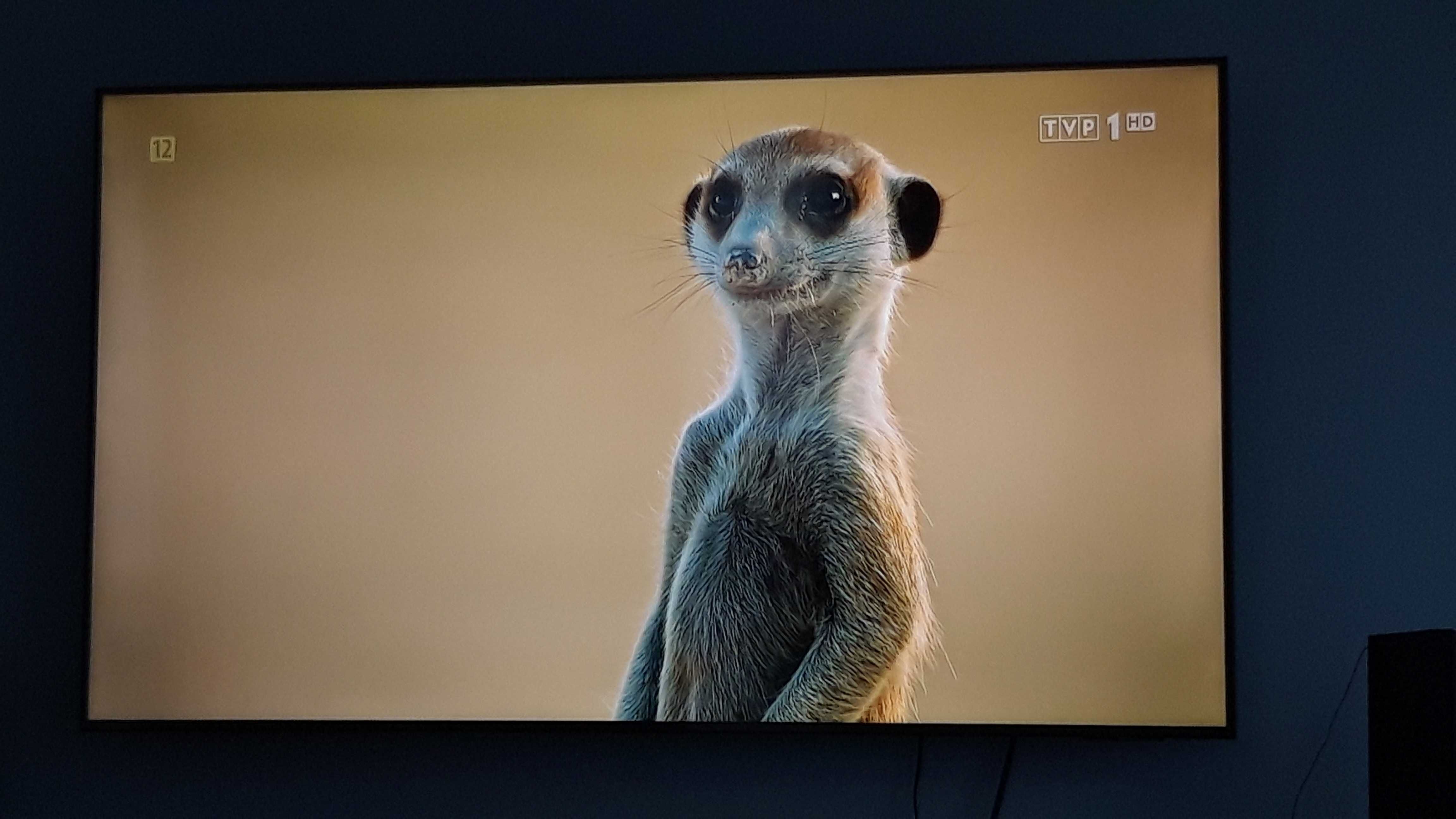 Tv LED Samsung 65" 4K UHD HDR10+ , smart tv, Bluetooth