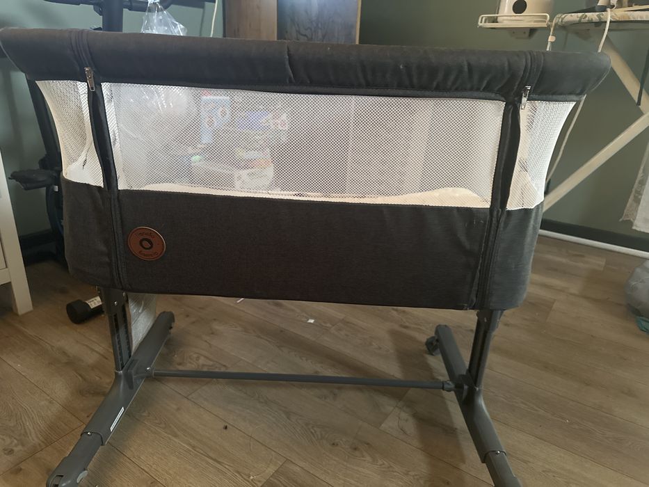 Lionelo Aurora szare