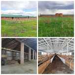Продаж ферми. Під виробництво/ ферму/ пилораму. 7тис м2., 12га. 128кВт