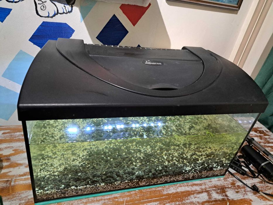 Sprzedam małe akwarium