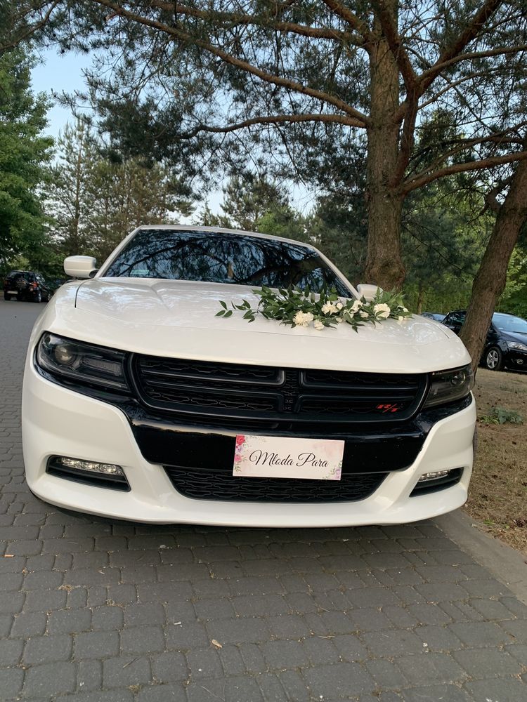 Auto do ślubu DODGE CHARGER, wynajem samochodu na wesele