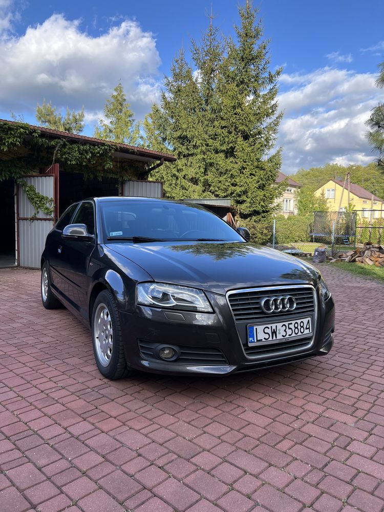 Audi A3 8P 1.9 TDI s-tronic 2009