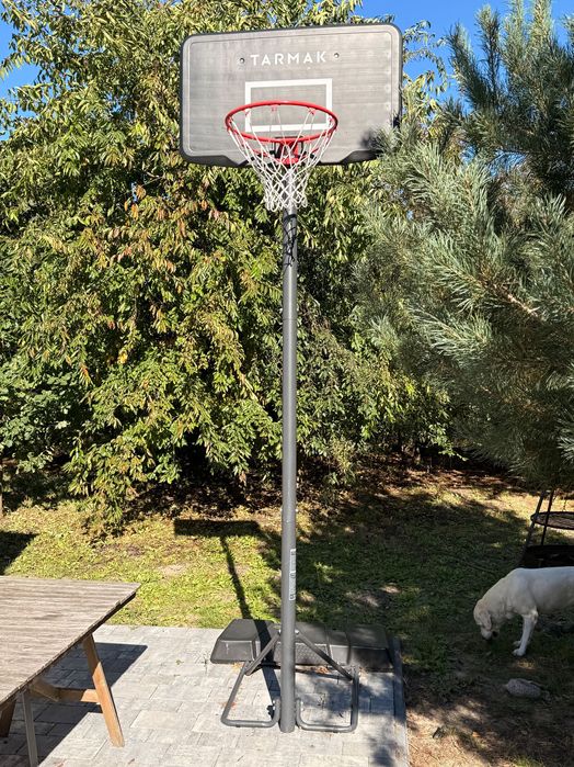 Kosz do koszykówki na regulowanym stojaku Tarmak B100