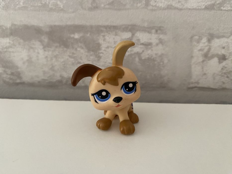 Littlest Pet Shop #1339 | Autêntico
