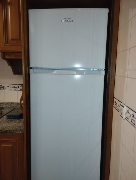 Frigorífico Electronia Robim