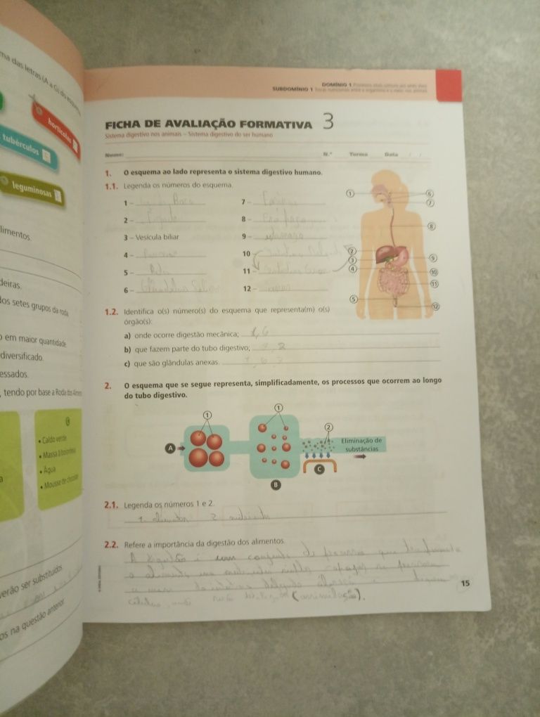 CSI 6 ciências naturais 6º