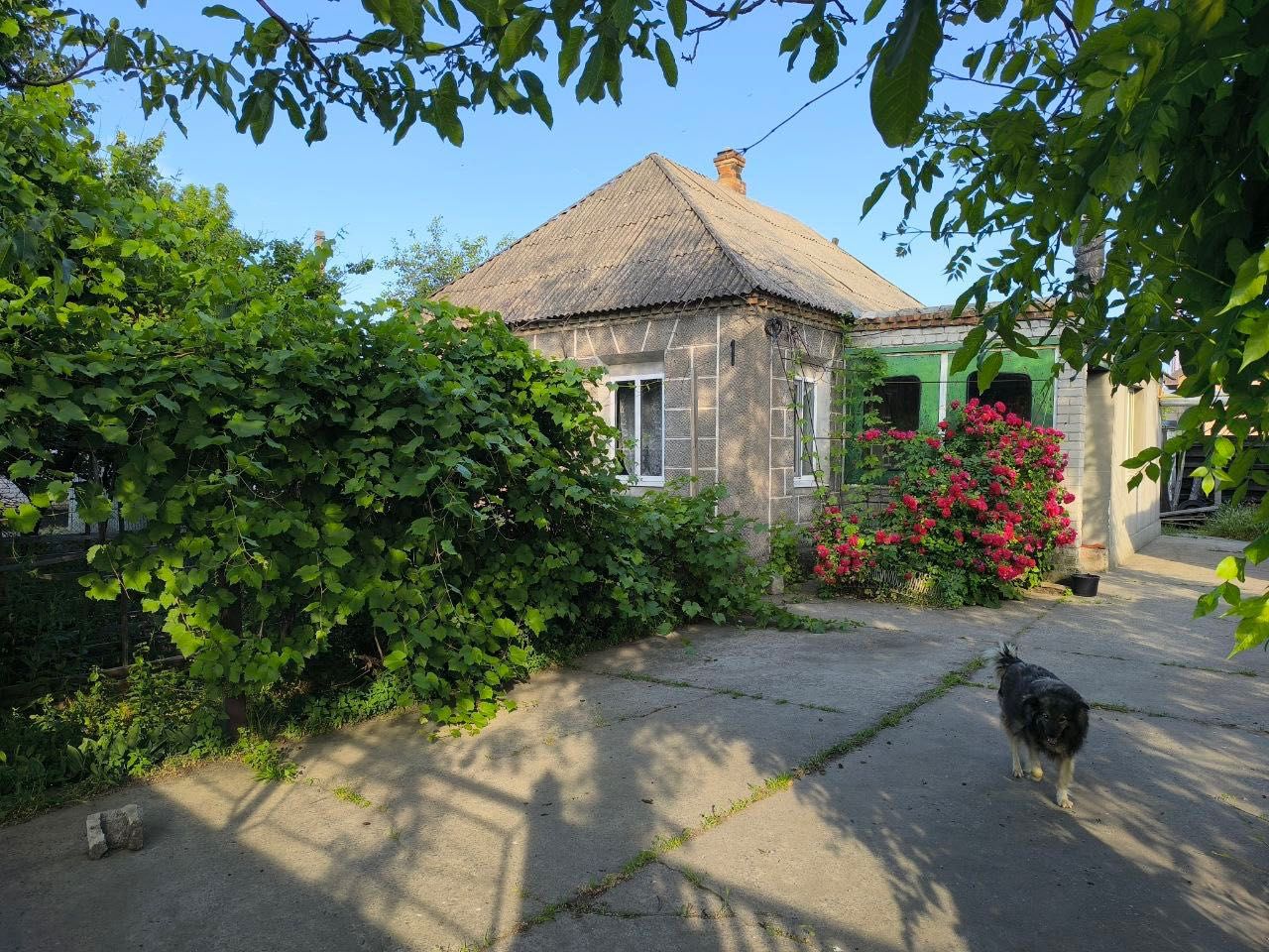 Будинок Підгородне