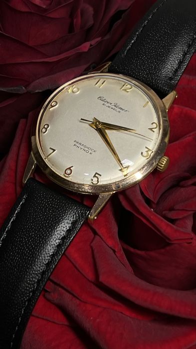 Рідкісний  Citizen Homer 21 jewels