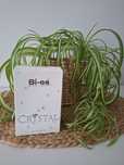 Perfumy Bi-es Crystal