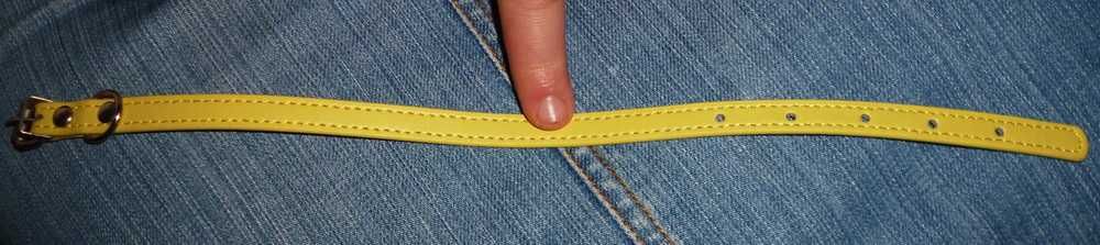 Ошейник для домашних животных