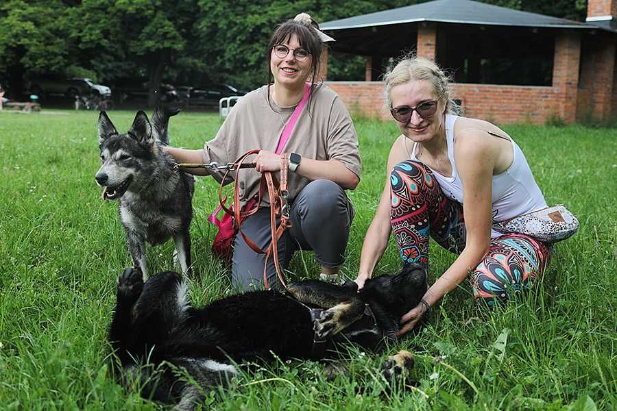 ASTRID - 1,5-roczna, 18kg, łagodna, radosna, kocha psy