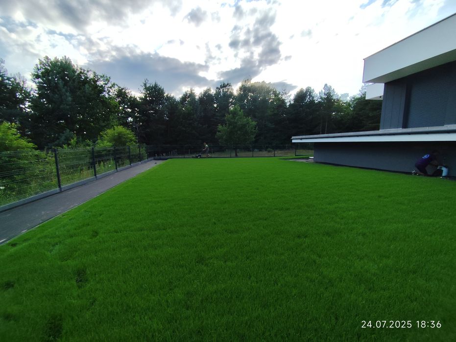 Automatyczne Nawodnienie Ogrodu Trawa z Rolki  Zakładanie Ogrodów