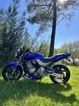 Hornet 2001 *25kw só de livrete*