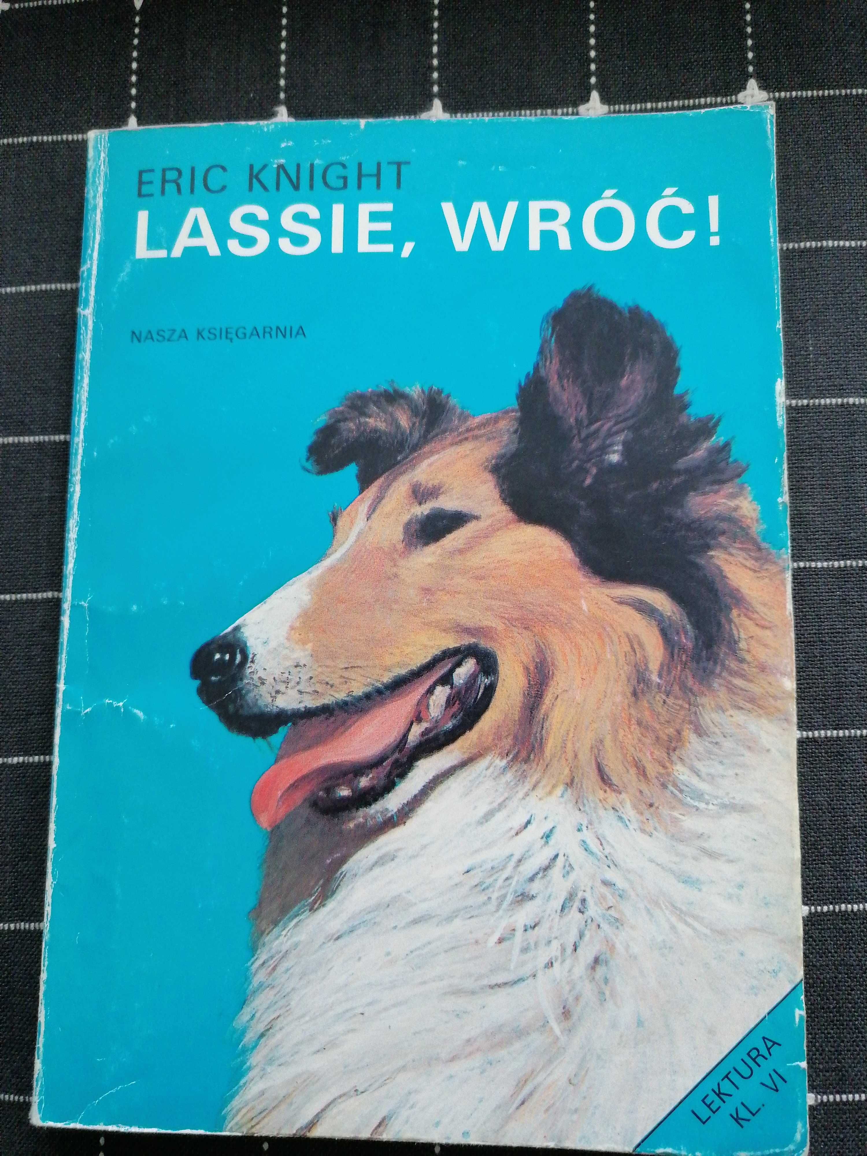 Lassie, wróć! Klasyk, rok wydania 1992