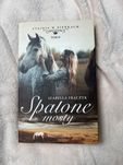 ,,Spalone mosty” Tom II serii Stajnia w Pieńkach