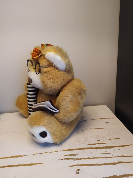 Miś uczeń student maskotka pluszak przytulanka