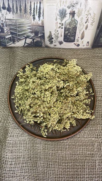 Сушені ягоди та  суцвіття бузини, бузина сушена, лікарські трави