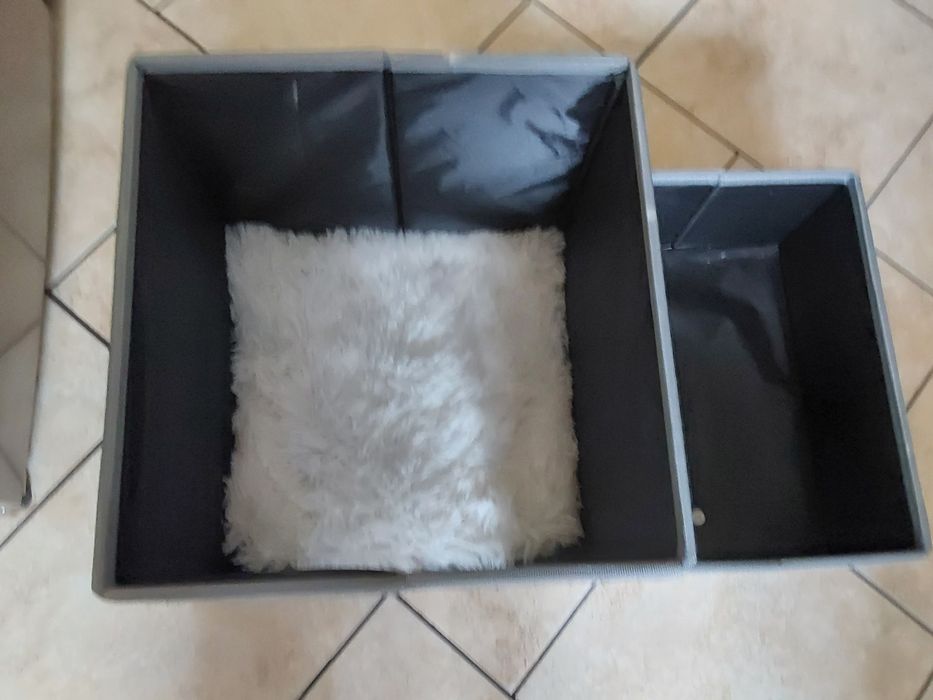 Schodki z budą dla małego pieska