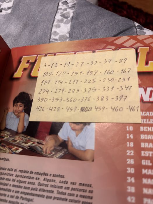 Caderneta incompleta PANINI