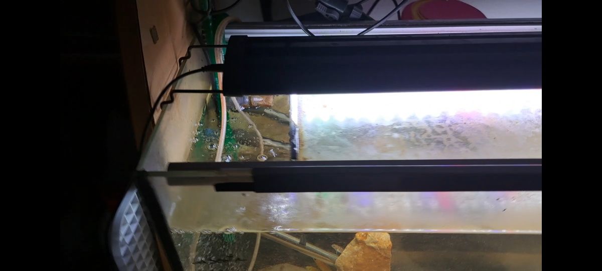 Aquário com sump e sem sump 1m