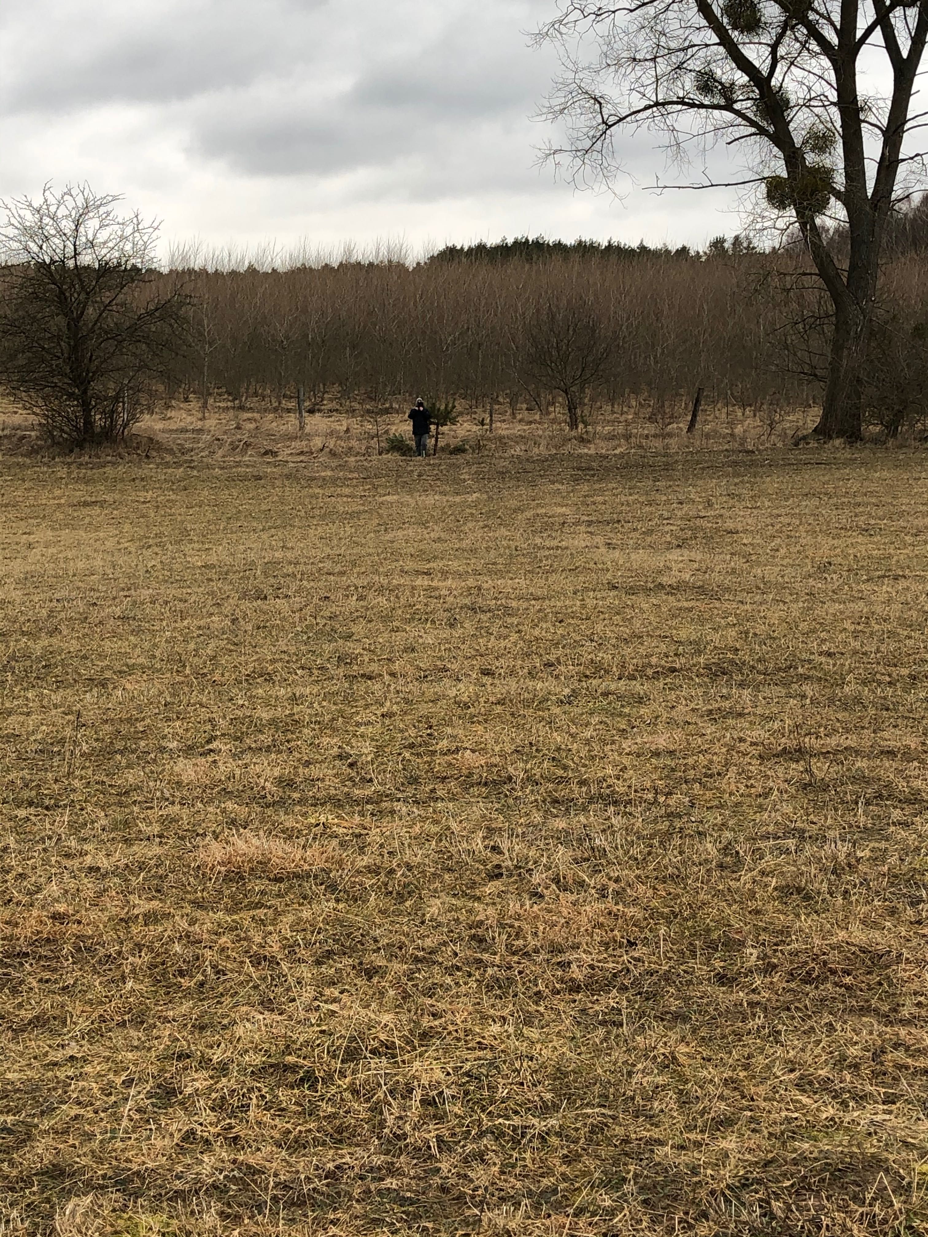 Działka rekreacyjna Tomaszyn, gmina Olsztynek