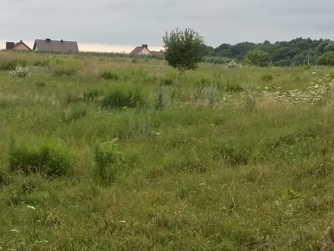 Продам ділянку під житлову забудову в Кустині!