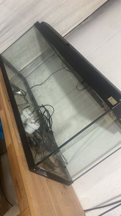 Aquario para peixes