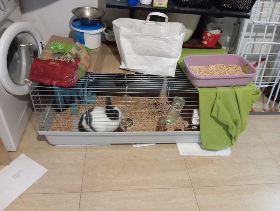 klatka na KRÓLIKA i to co widać na zdjęciu :)