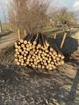 Steple drewniane 3m/słupy ogrodzeniowe / żerdzie / drewno tartaczne