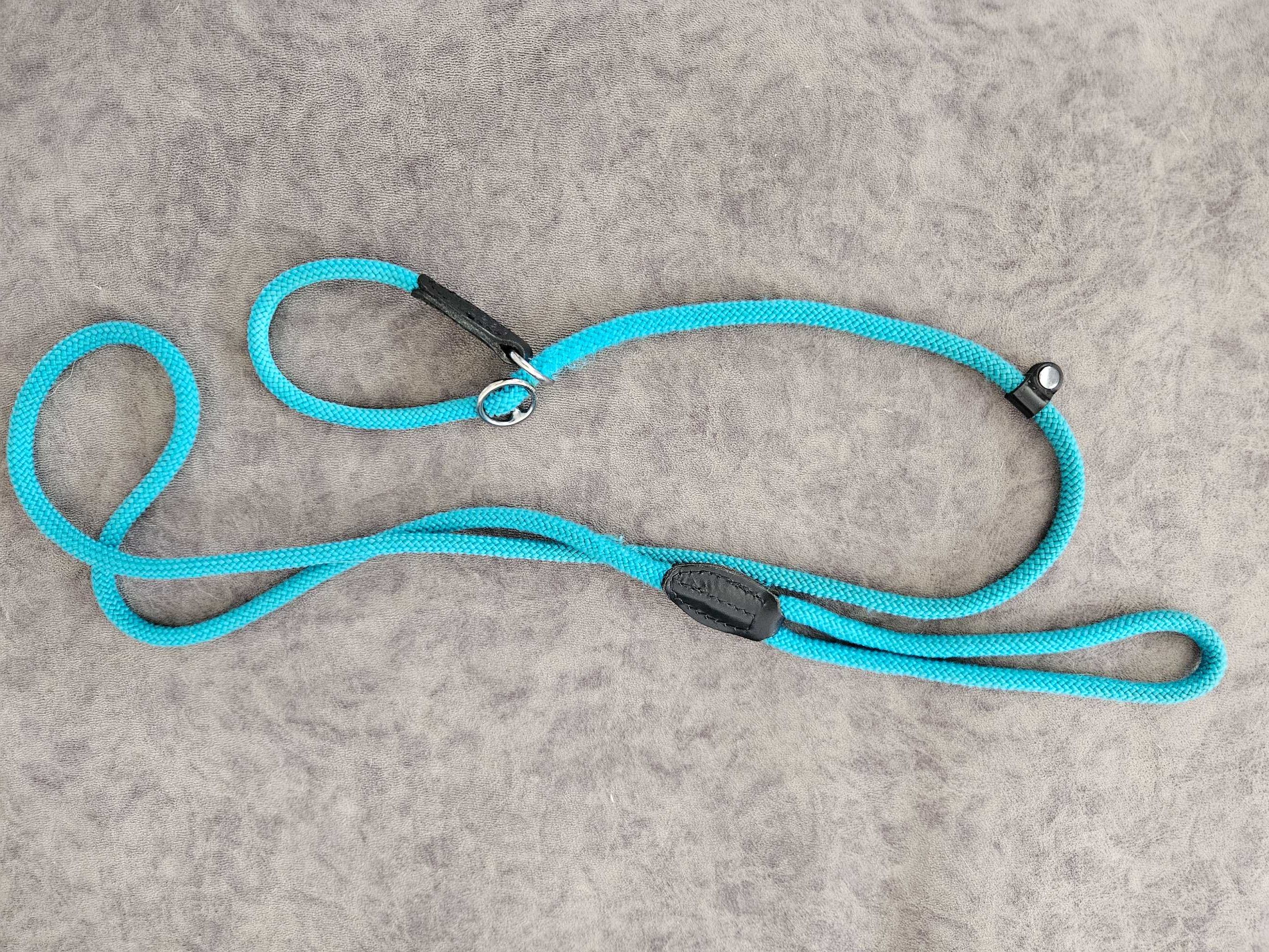 Coleira curta para cão (azul)