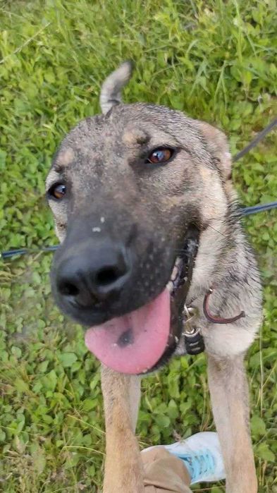 Муха дуже чекає на свою турботливу і люблячу сім'ю..