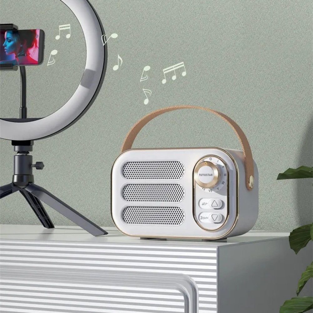 Колонка портативна Bluetooth ретро FM радіо 5Вт 400мАгод AC Prof DW13