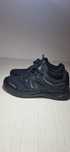 Mammut 41  1/3.       .