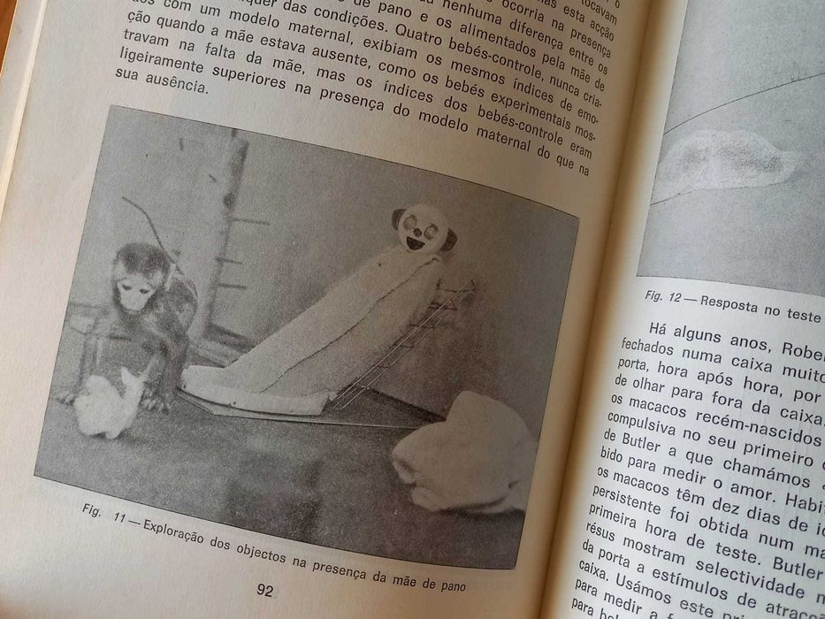 (PORTES GRÁTIS) Autores Vários: As Ligações Infantis (Psicologia)