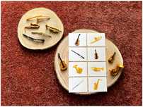 Instrumentos Musicais - Montessori